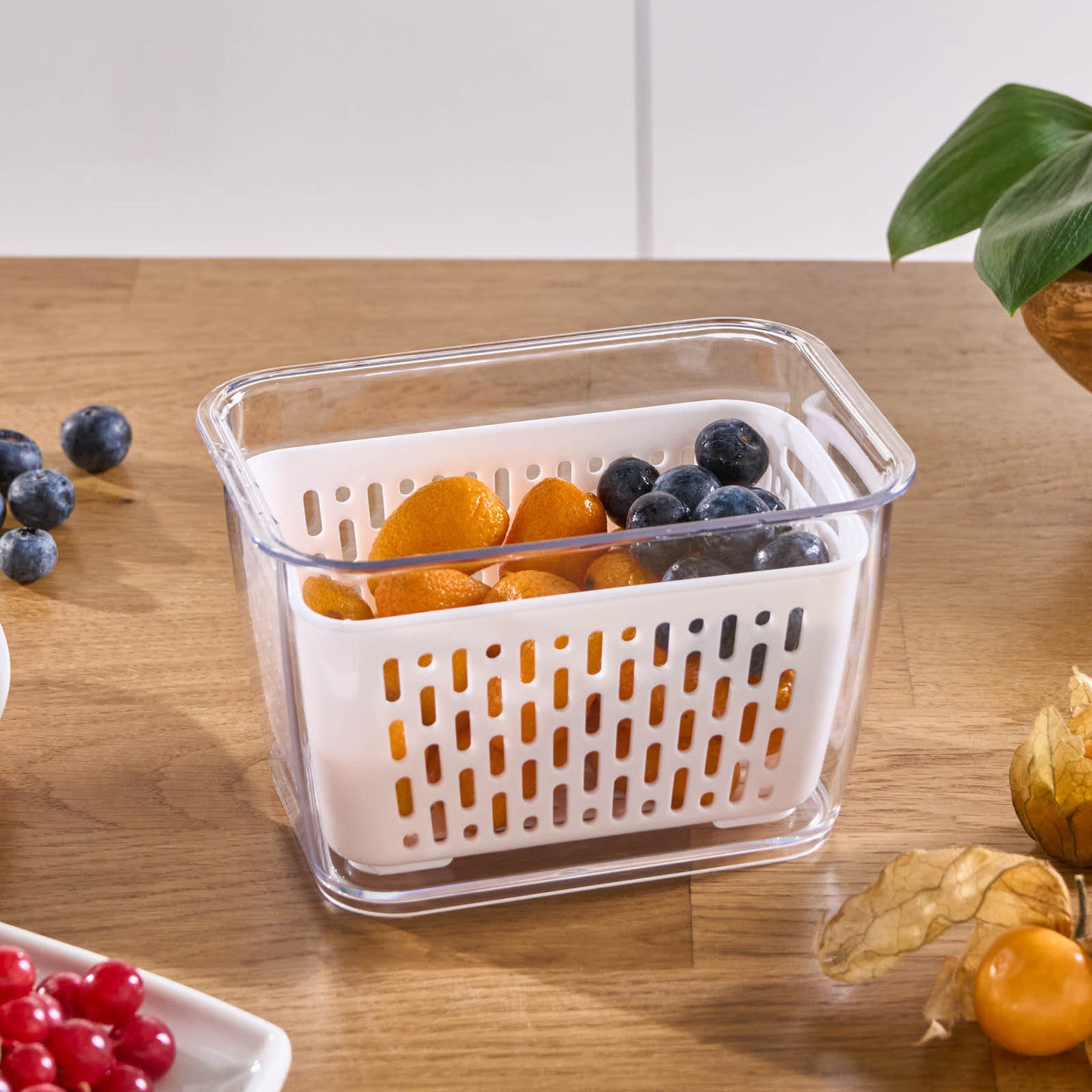 karaca-citrus-sebzemeyve-saklama-kabi-m-591002