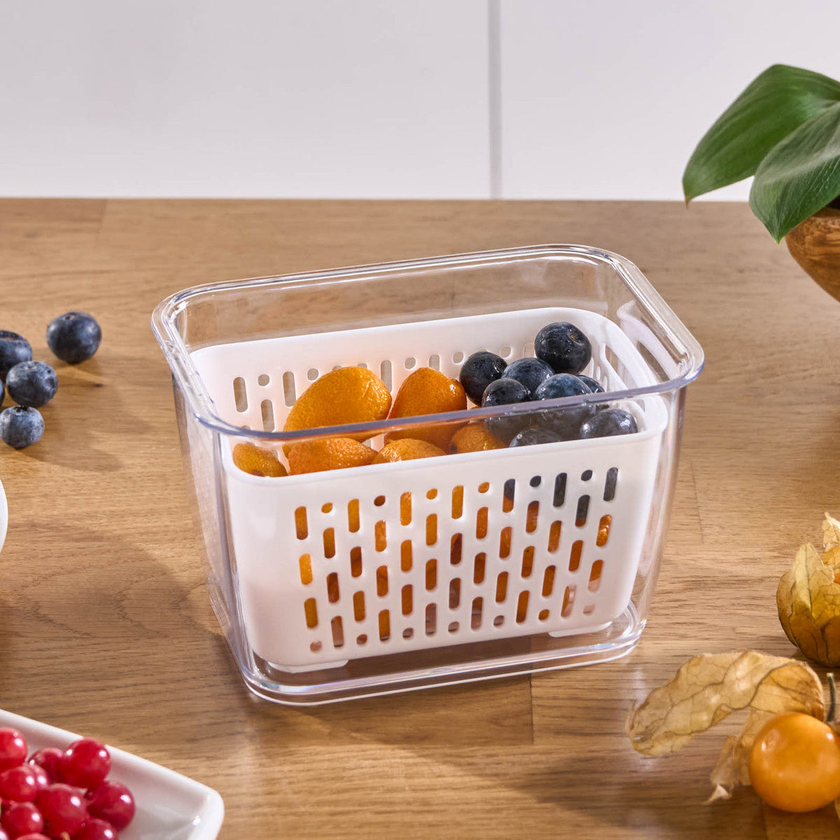 karaca-citrus-sebzemeyve-saklama-kabi-m-591002