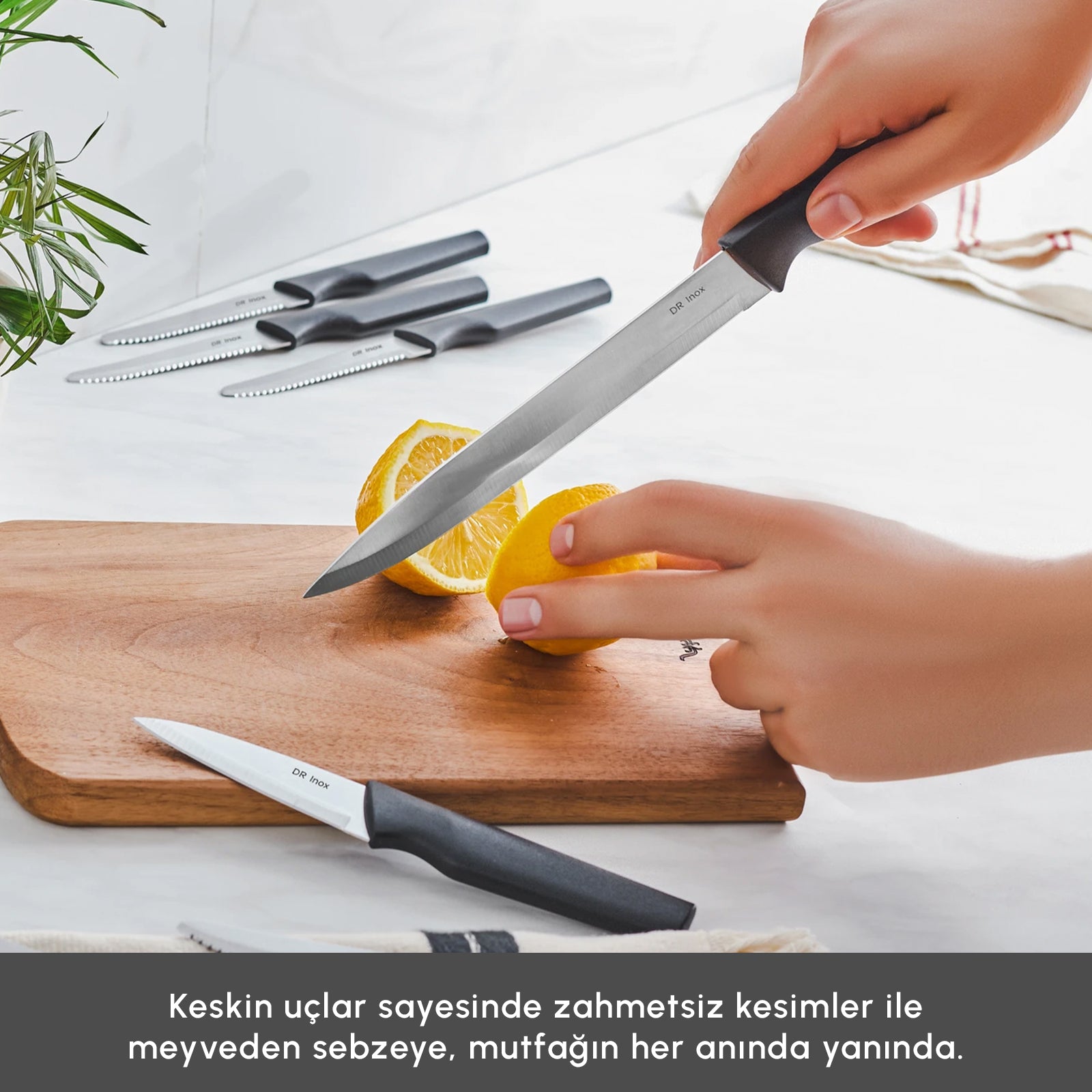 " Karaca Bundle 10-teiliges Messerset "